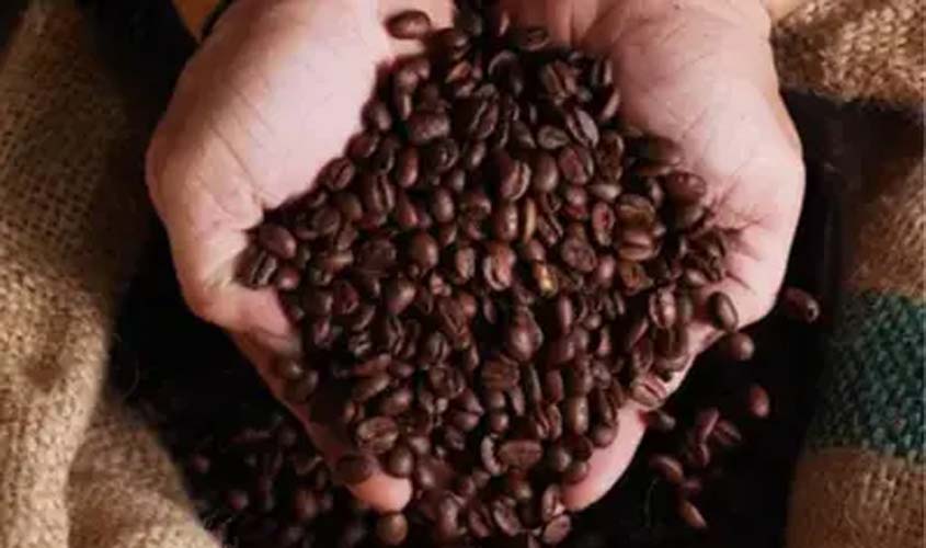 Café: confira a cotação desta segunda (29)