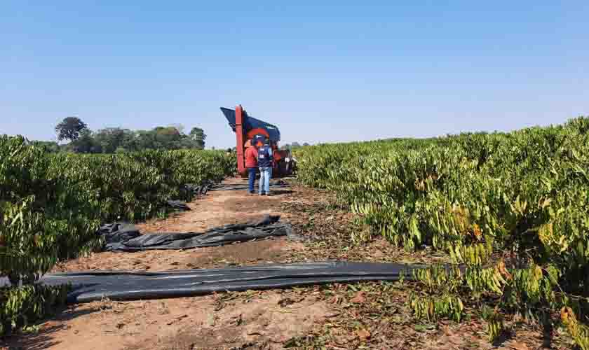 Produtividade do agronegócio de Rondônia chama a atenção de outros estados
