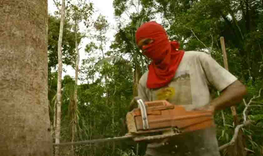 PF deflagra operação contra desmatamento e venda ilegal de terras públicas em Rondônia