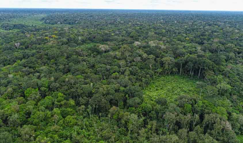 STF garante orçamento para proteção ambiental em Rondônia após atuação do MPRO