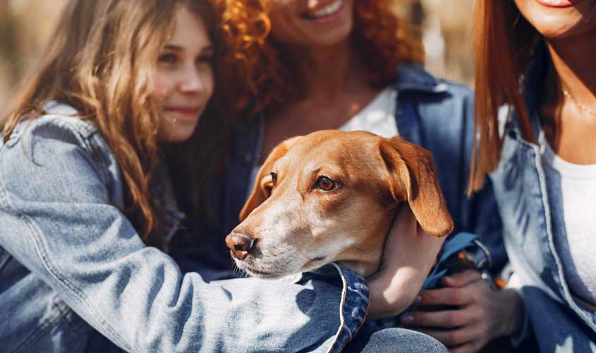 Itens essenciais para quem acabou de adotar um pet