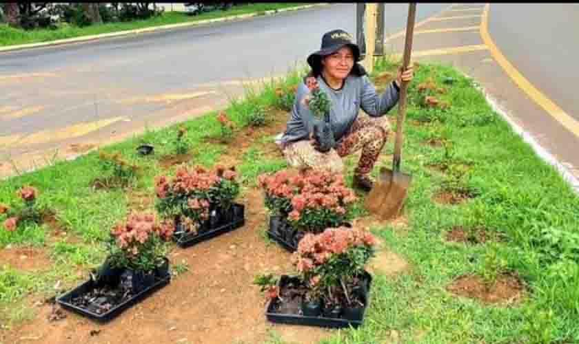 Prefeitura repõe flores furtadas que foram plantadas recentemente em rotatórias
