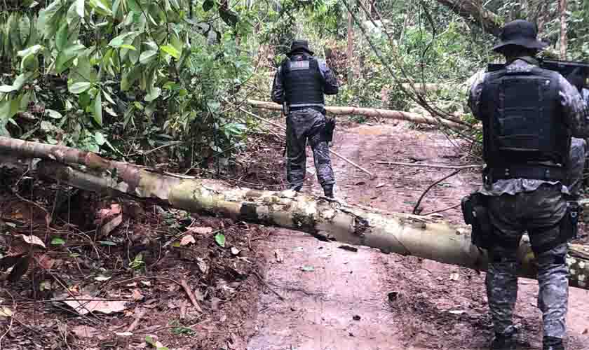 Invasores que retornaram voltam a obstruir vias de acesso