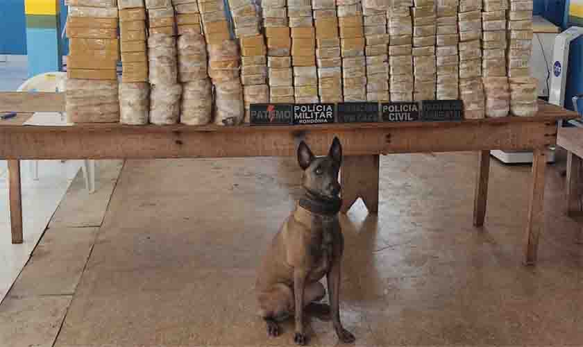 Órgãos de segurança pública rondoniense apreendem cerca de 300 quilos de cocaína e objetos utilizados pelo crime organizado