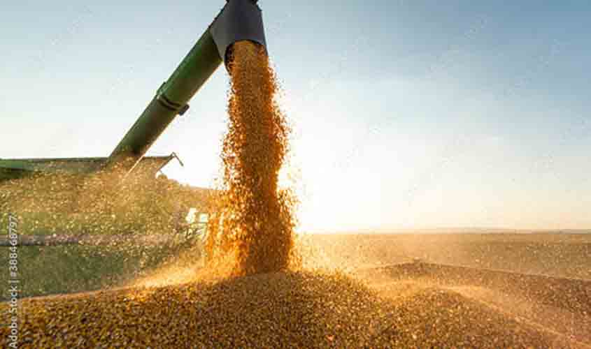 Preço da soja em queda