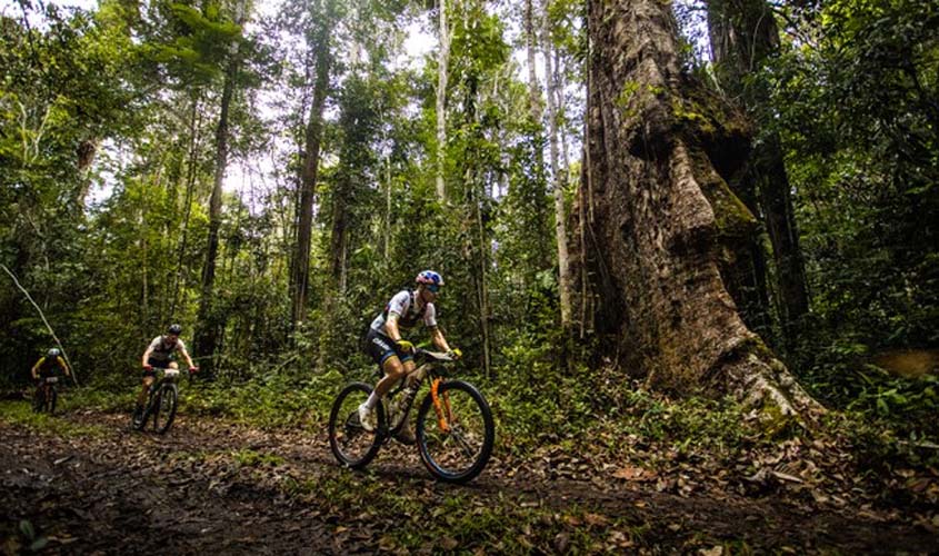 Parque Pau Brasil atinge recorde de visitação