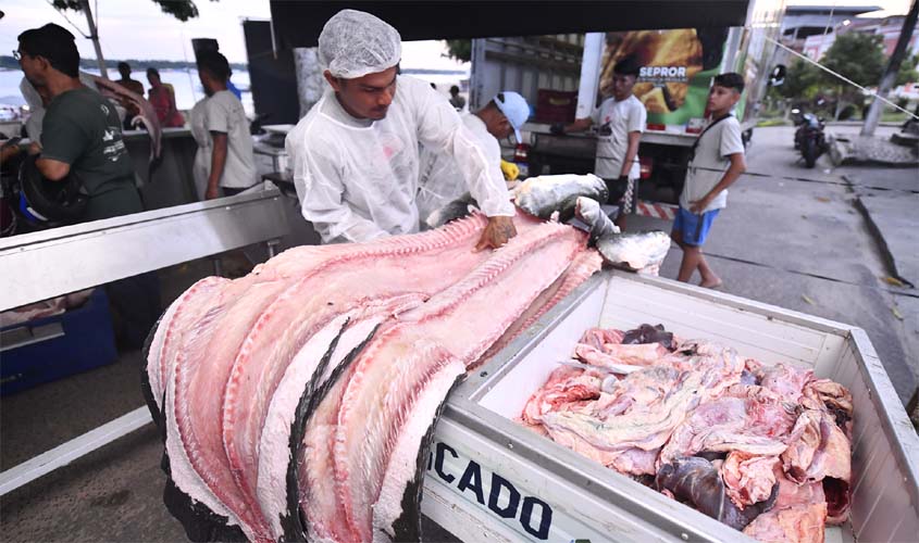 Feira de Tefé vende 8 toneladas de pirarucu