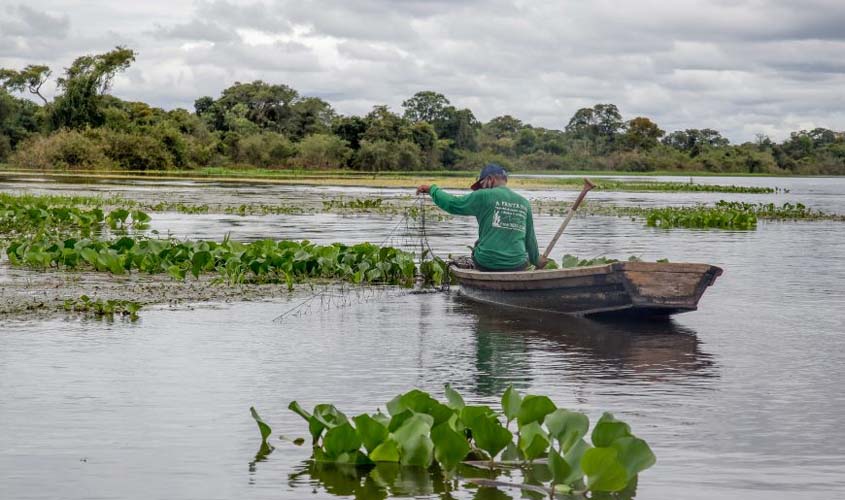 Período do defeso de algumas espécies de peixes segue nos rios de Rondônia