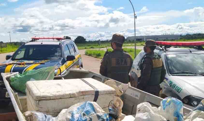PRF e PM Ambiental realizam flagrante de crime ambiental e porte ilegal de arma de fogo