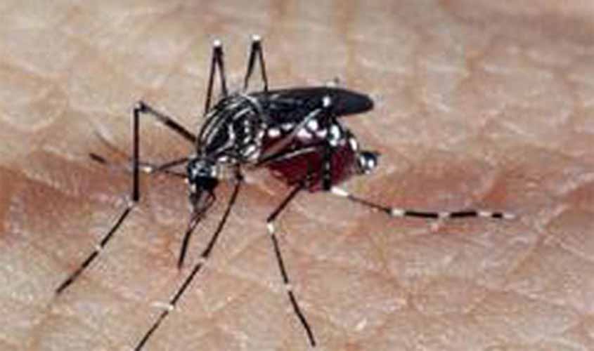 Quase mil cidades podem ter surto de dengue, zika e chikungunya