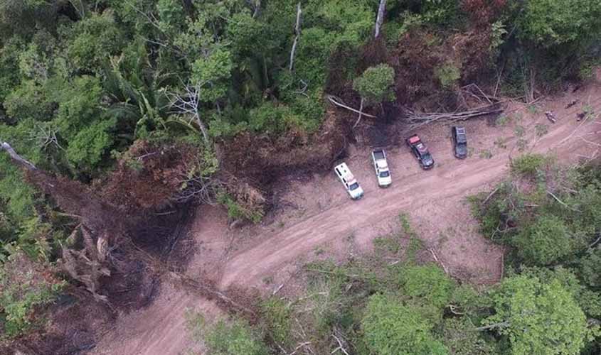 Decisão judicial reintegra o Incra na posse da reserva florestal do PA Margarida Alves
