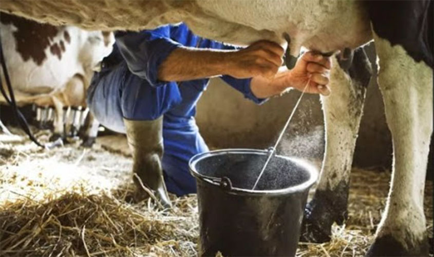Governo de Rondônia busca diálogo com produtores de leite para evitar crise no setor