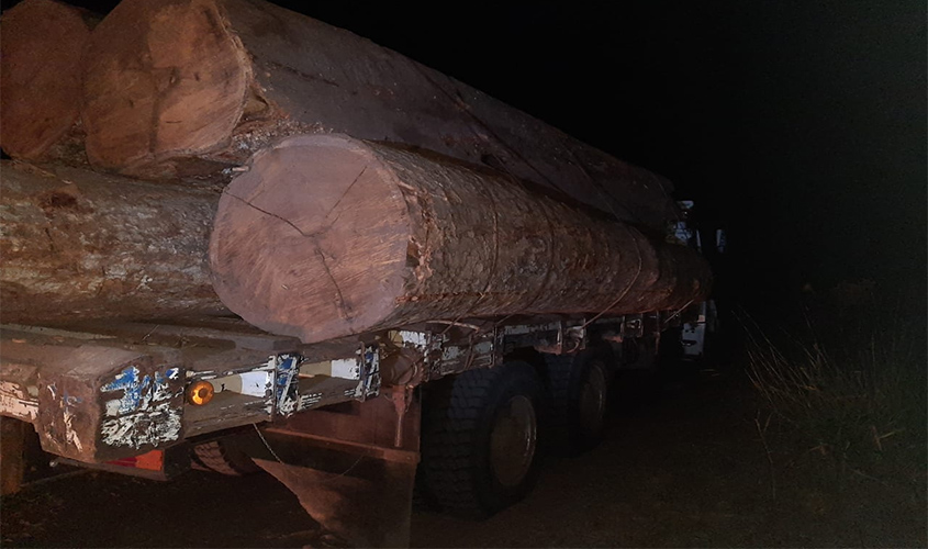 PF realiza Operação e prende homens com madeira ilegal