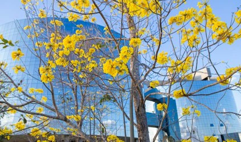 Para MPF, servidor temporário que tiver contrato considerado nulo pode ajuizar ação contra o ente publico após 2 anos do fim do vínculo