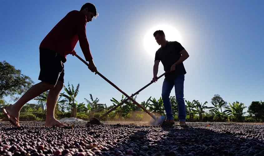 Ações da Emater são fortalecidas pelo governo de RO com unificação de fundos para o setor agropecuário