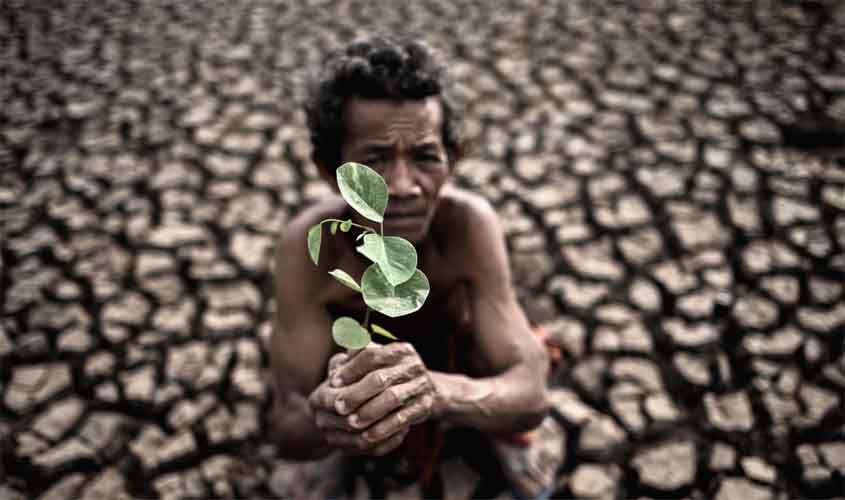 Ecoansiedade: um olhar amazônico sobre o medo do futuro climático