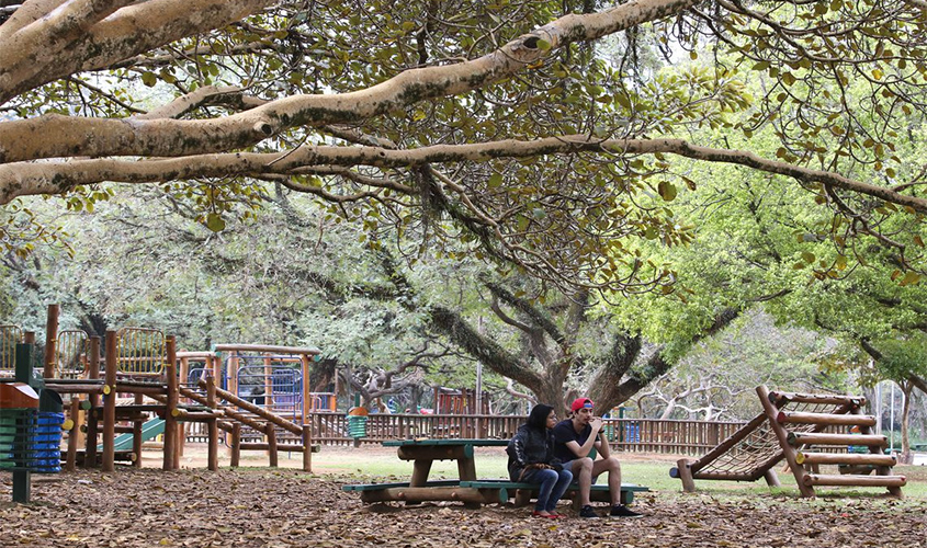 Prefeito de São Paulo sanciona lei que proíbe fumo em parques públicos