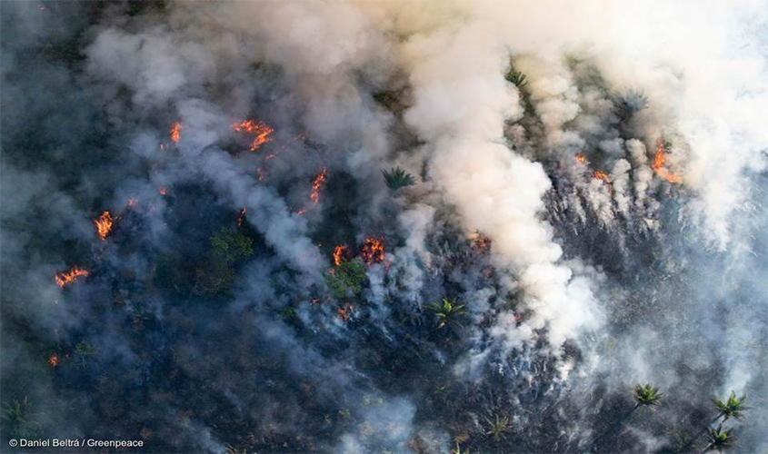 Polícia do Pará identifica suspeitos de provocar queimadas na Amazônia