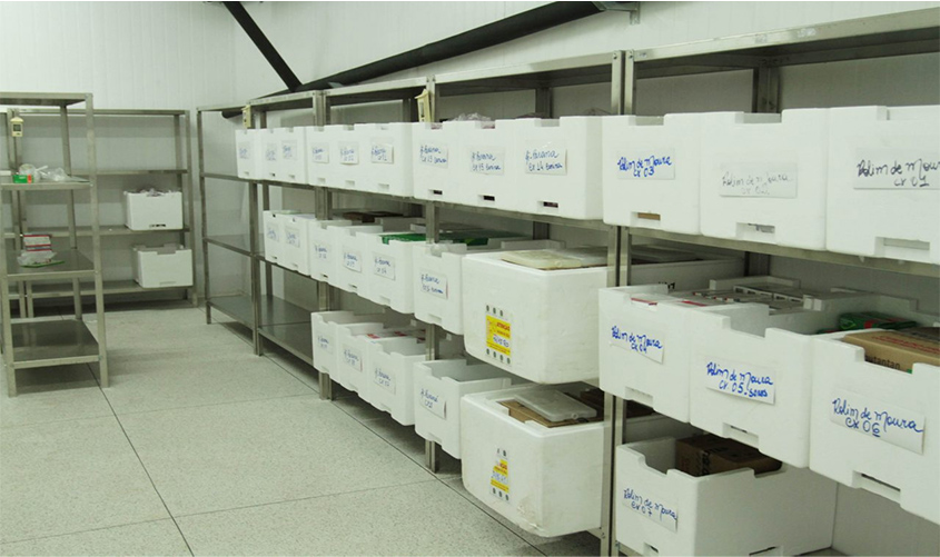 Agevisa destaca a importância da vacinação contra o sarampo em Rondônia