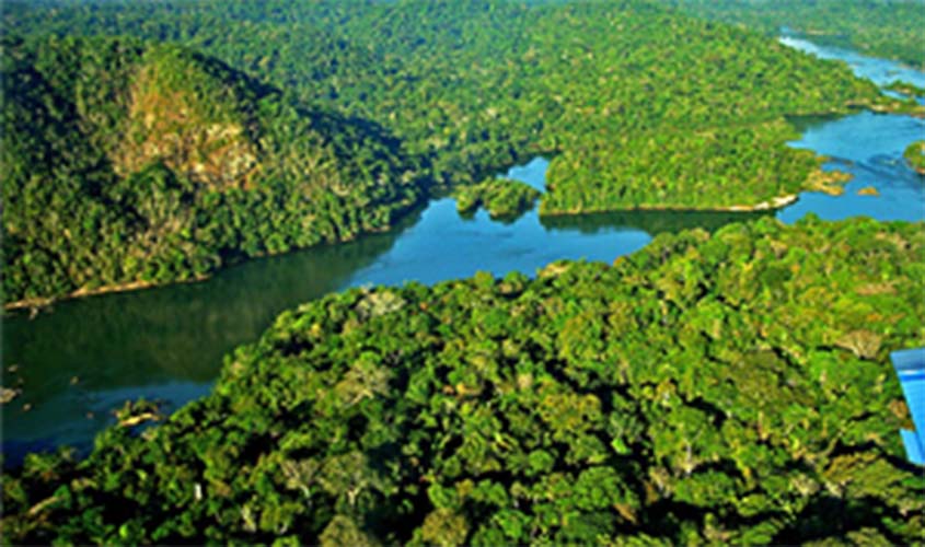 Deputada não consegue liminar para garantir amplo acesso público a dados sobre Amazônia