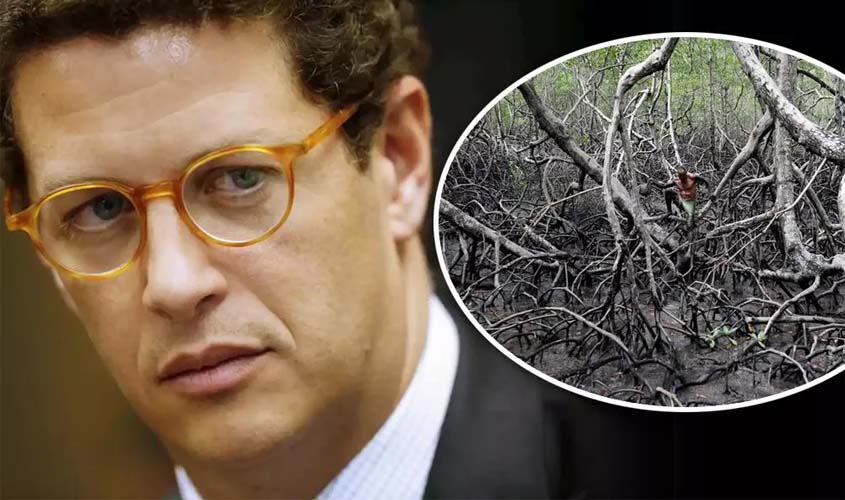 Juíza do Rio derruba decisões de Salles que retiraram proteção a manguezais e restingas