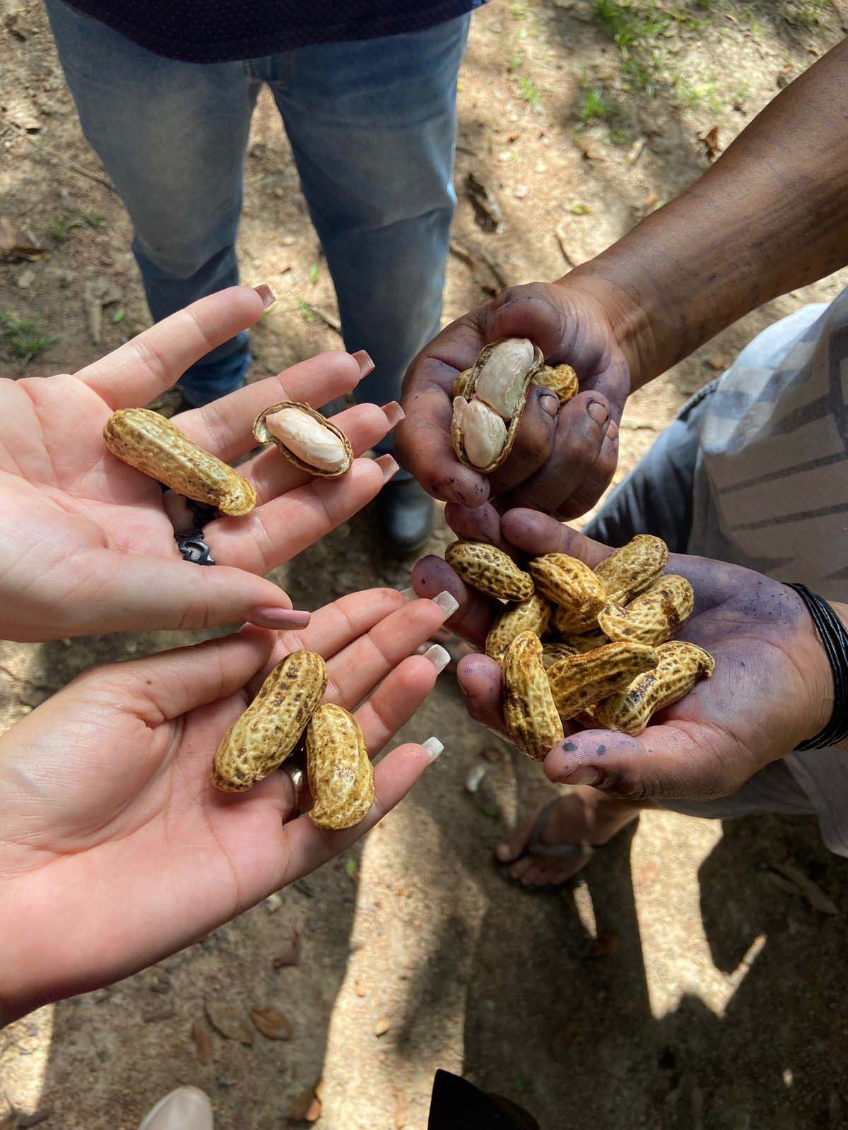 Prefeitura divulga processo seletivo para curso de pós-graduação em Naturopatia