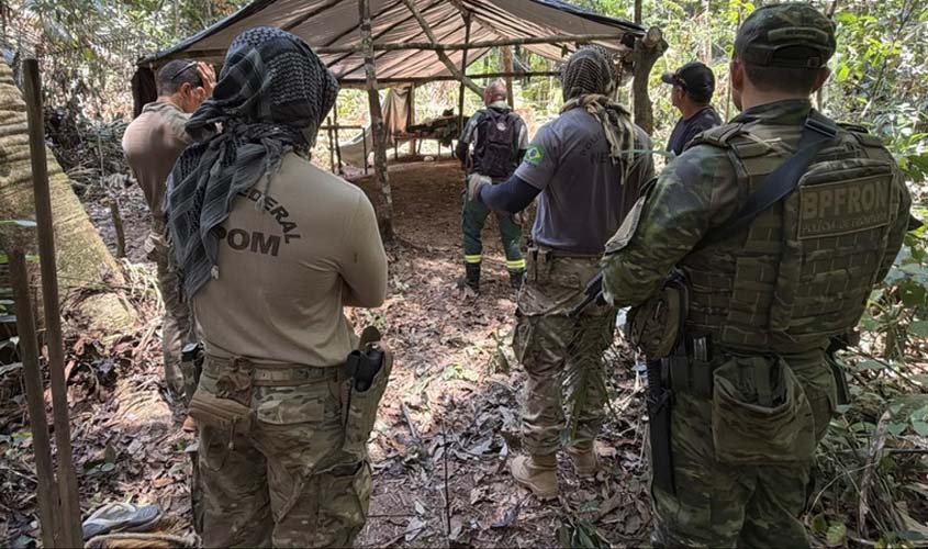 PF combate extração ilegal de madeira em terra indígena