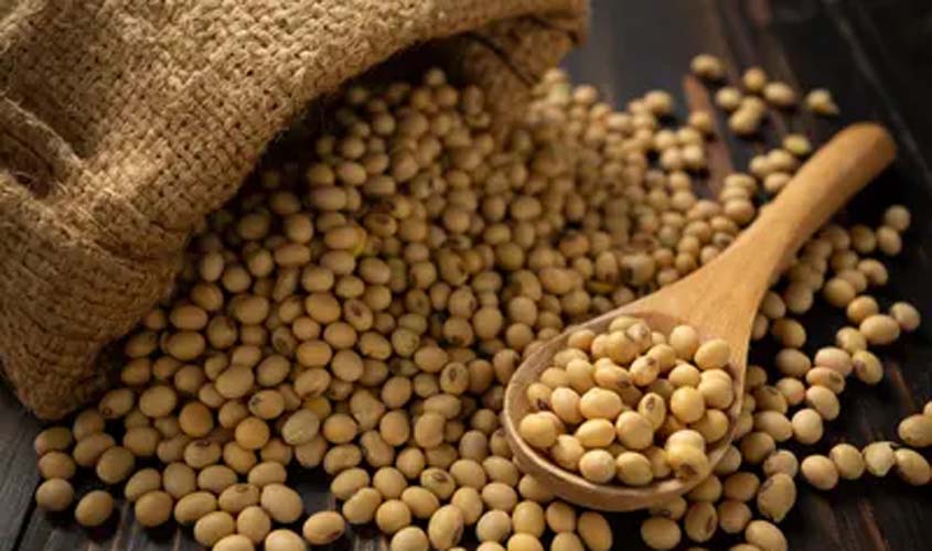 Soja e trigo hoje: confira as cotações para quinta (30)