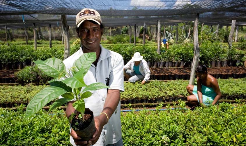 RO contrata mais de R$ 8,5 milhões de pequenos produtores