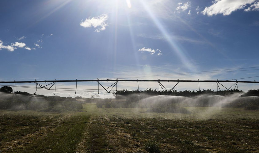 Termina hoje prazo para produtores aderirem ao Refis Rural