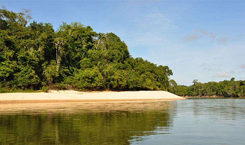 Rondônia assina Termo de Cooperação para restauração florestal em unidades de conservação