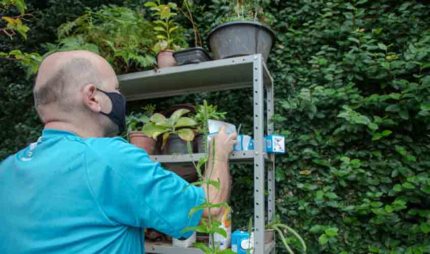 População é orientada para forma correta de plantio de árvores em Porto Velho