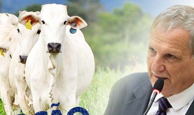 IDARON atende indicação do deputado Adelino Follador e adia prazo para declaração de rebanho