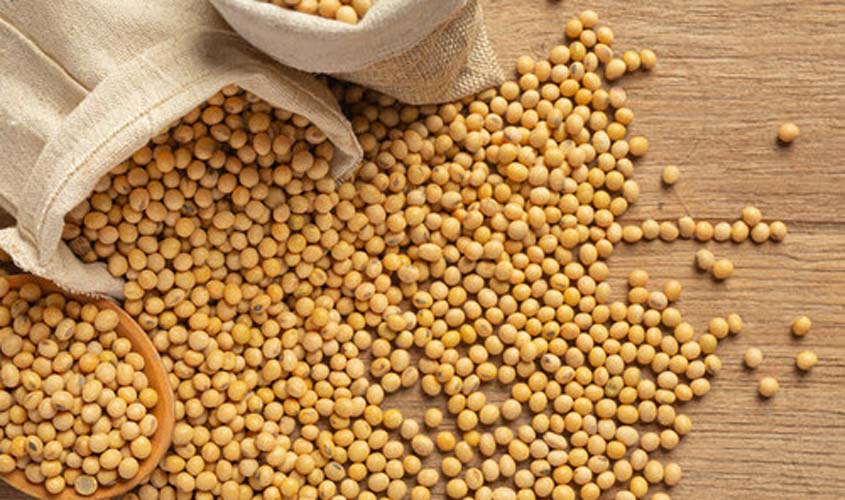 INDICADORES: preço da soja caiu nesta quarta-feira (31)