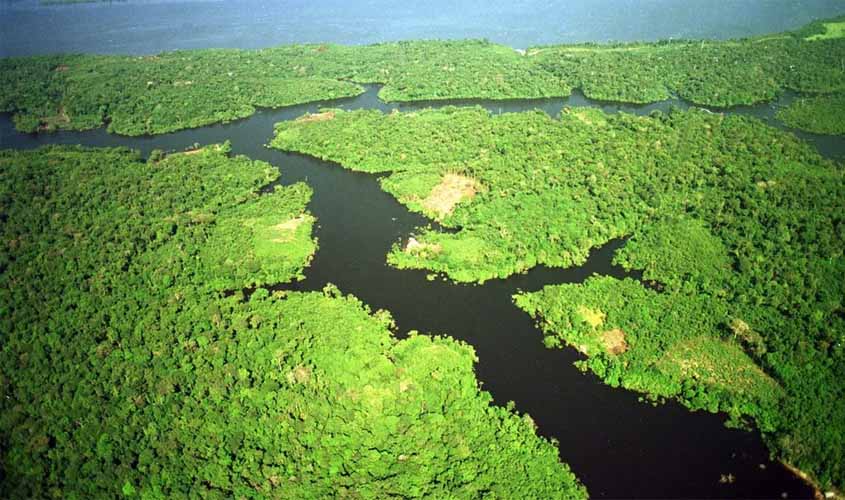 O projeto neoliberal no mundo e no Brasil é anti-vida e inimigo da natureza