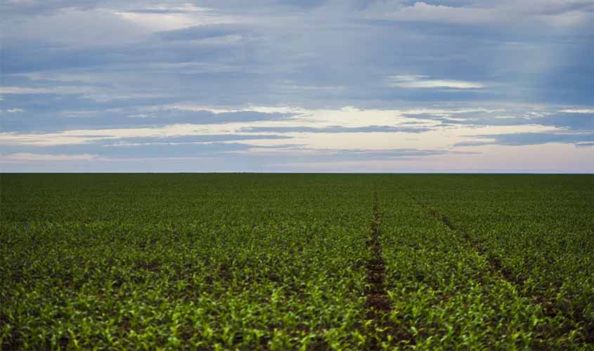 Marco regulatório para agrotóxicos é publicado no DOU