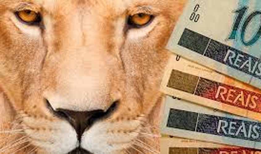 Como aumentar a restituição do IR ou doar parte dos valores