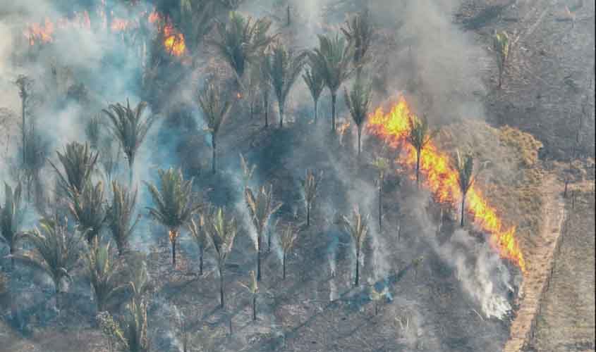 Queimadas sufocam ambiente urbano e rural de Porto Velho 