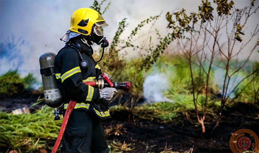 Ministro da Defesa destaca eficiência da Operação Verde Brasil 17, em Rondônia