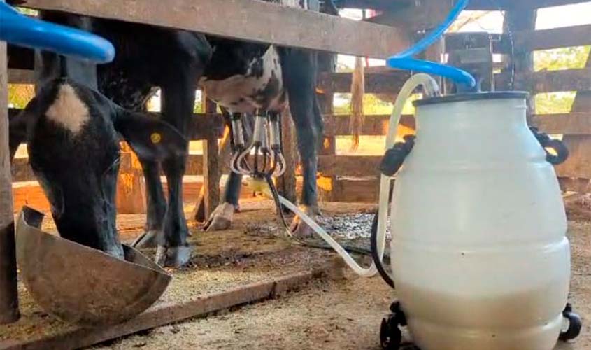 Sítio destaque no Consultec-Leite se torna modelo em Cacoal