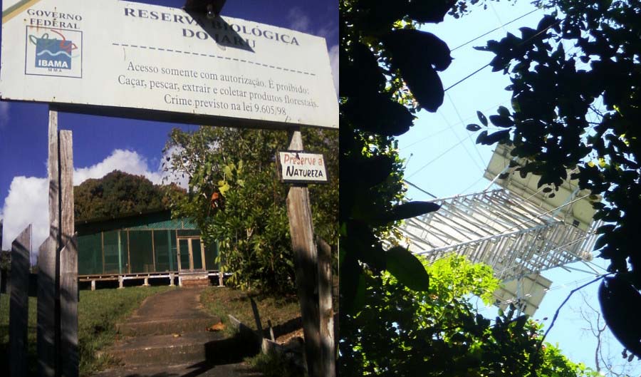 Aos 38 anos, reserva do Jaru guarda flora e fauna raras