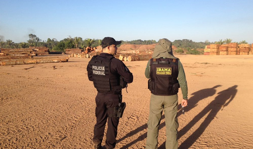 Polícia Federal, Receita Federal e IBAMA deflagram operação MAFIA DA TORA em Rondônia (RO) e Santa Catarina (SC) 
